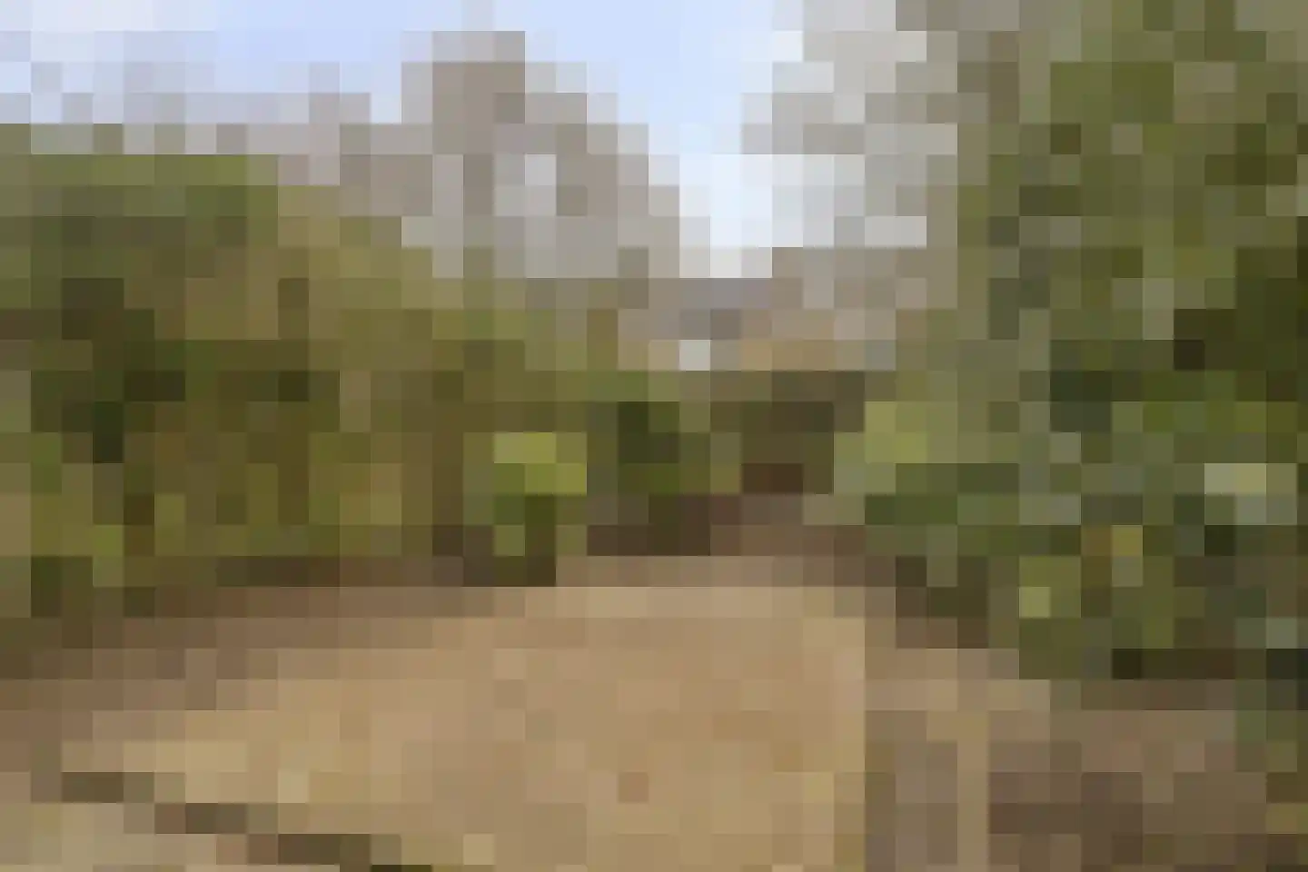 Graan voor Visch 18802 Hoofddorp thumbnail 25