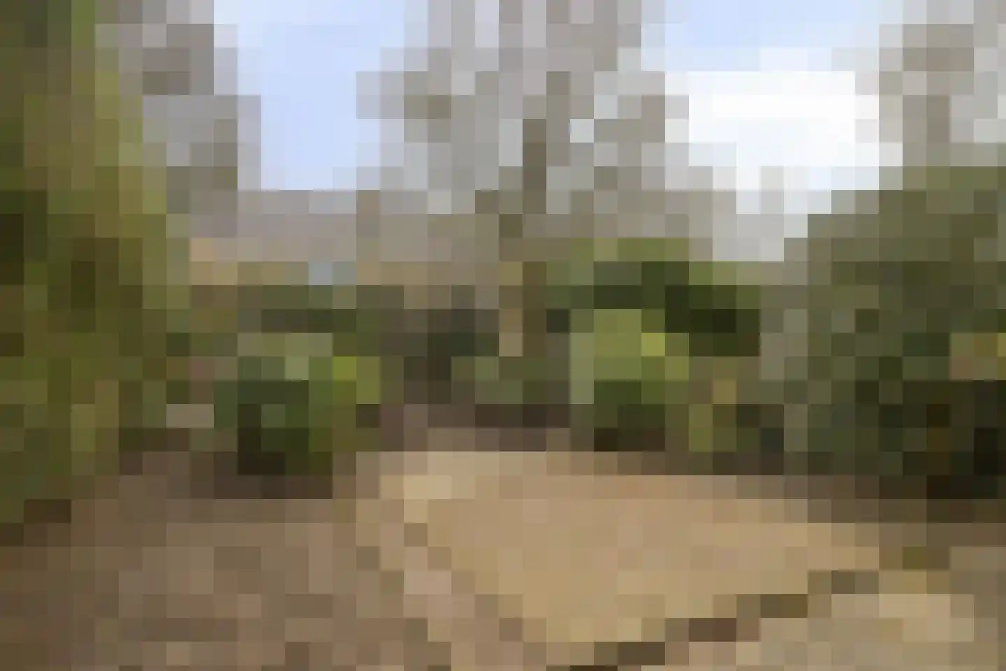 Graan voor Visch 18802 Hoofddorp thumbnail 26