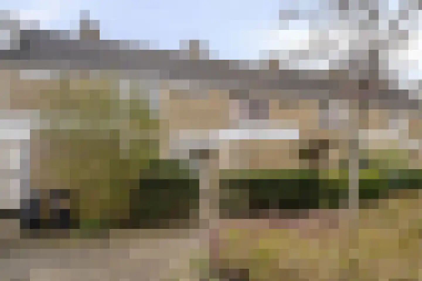 Graan voor Visch 18802 Hoofddorp thumbnail 30