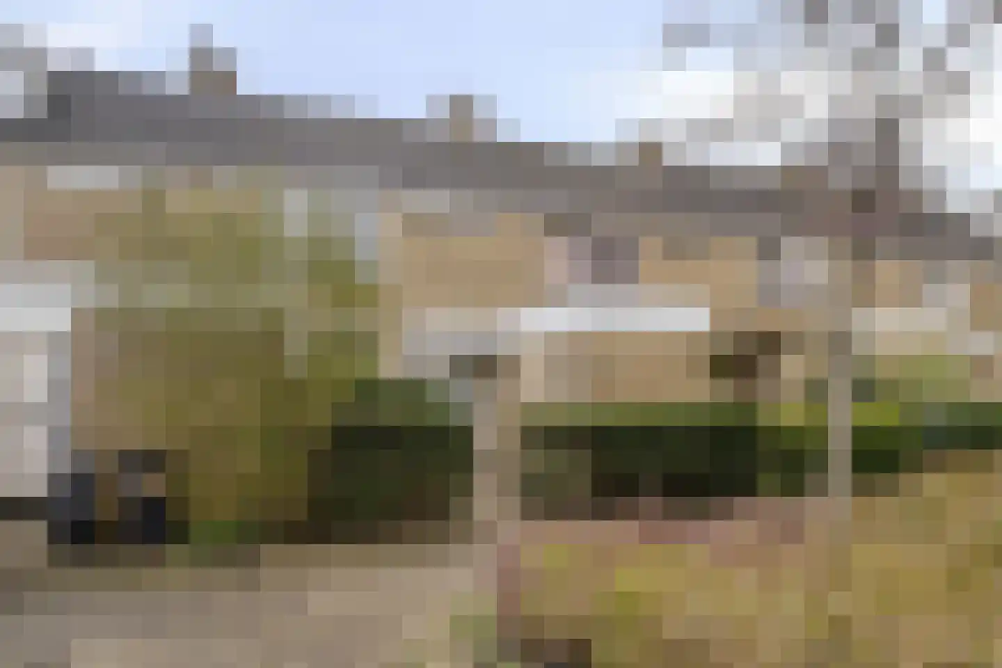 Graan voor Visch 18802 Hoofddorp thumbnail 30