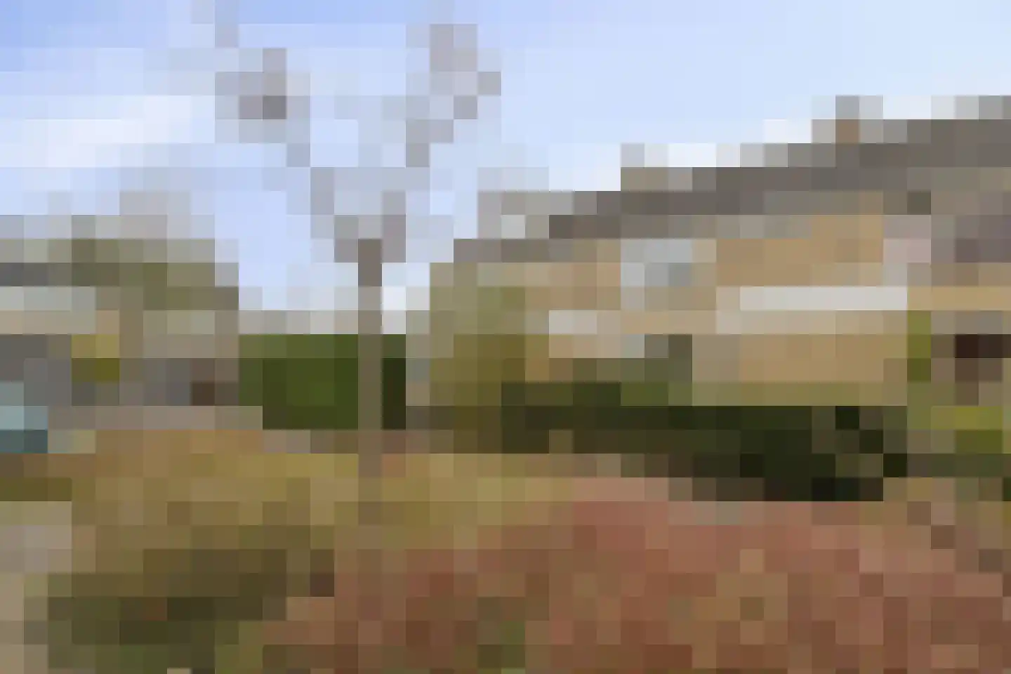 Graan voor Visch 18802 Hoofddorp thumbnail 32