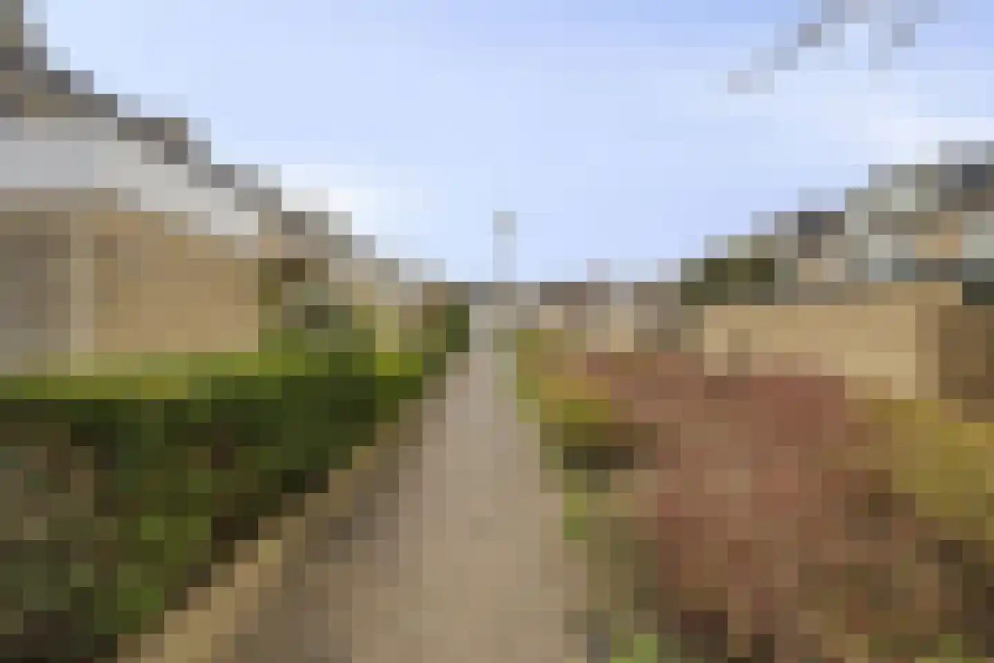 Graan voor Visch 18802 Hoofddorp thumbnail 33