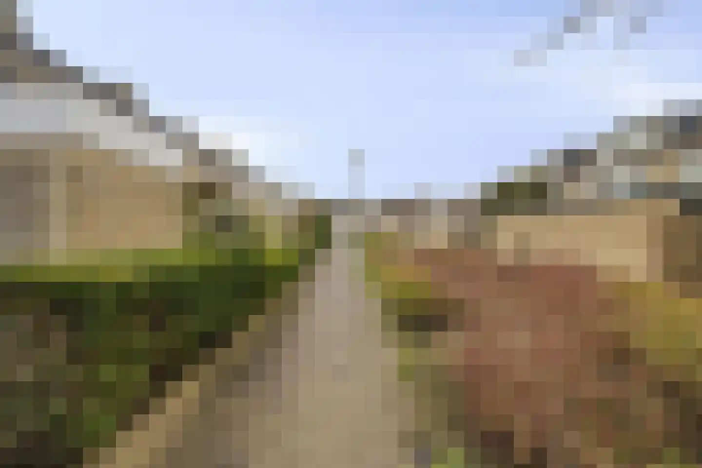 Graan voor Visch 18802 Hoofddorp thumbnail 33