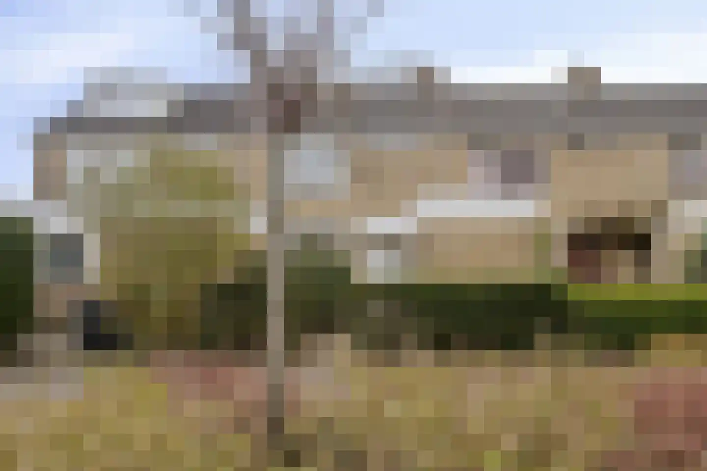 Graan voor Visch 18802 Hoofddorp thumbnail 4