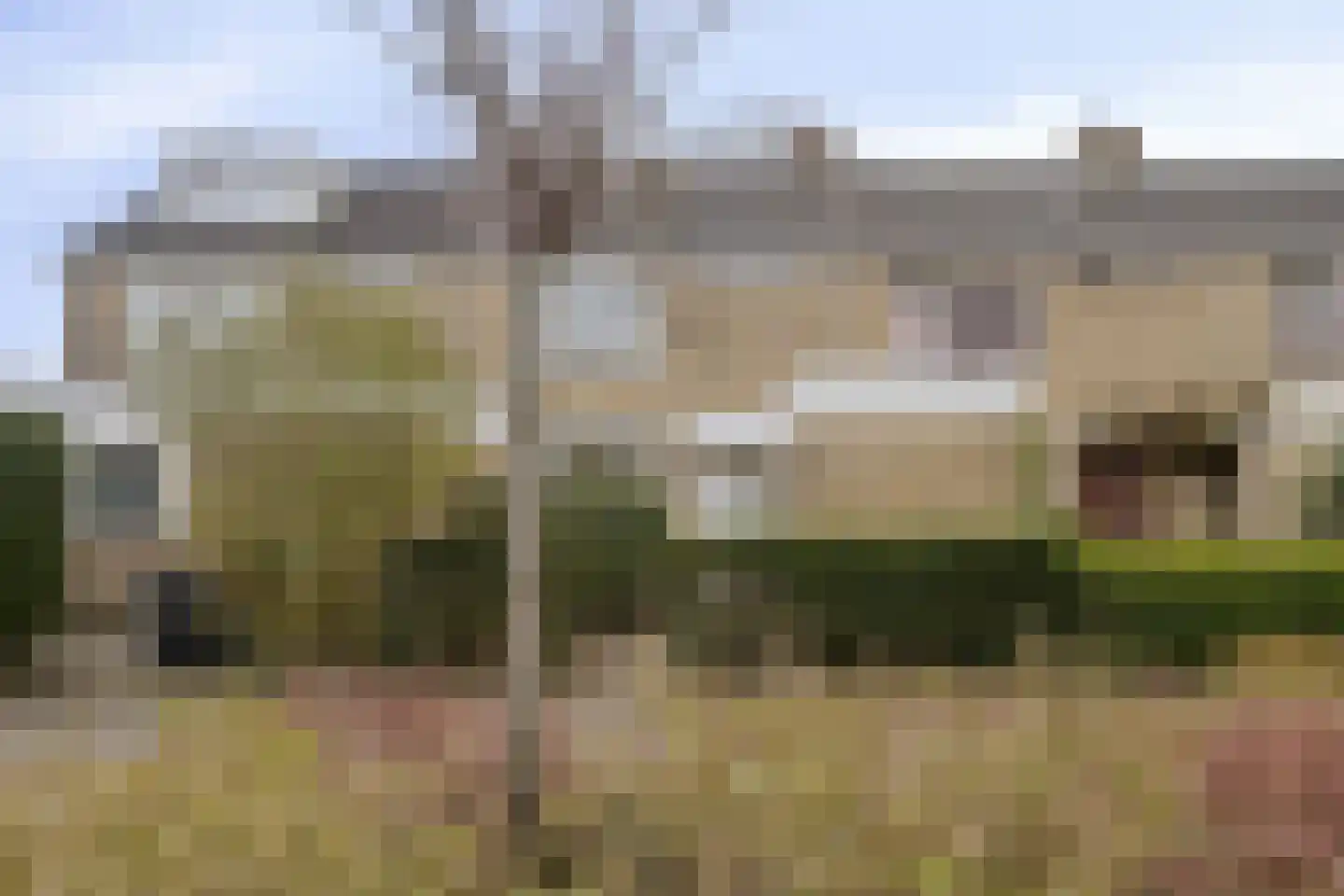 Graan voor Visch 18802 Hoofddorp thumbnail 4