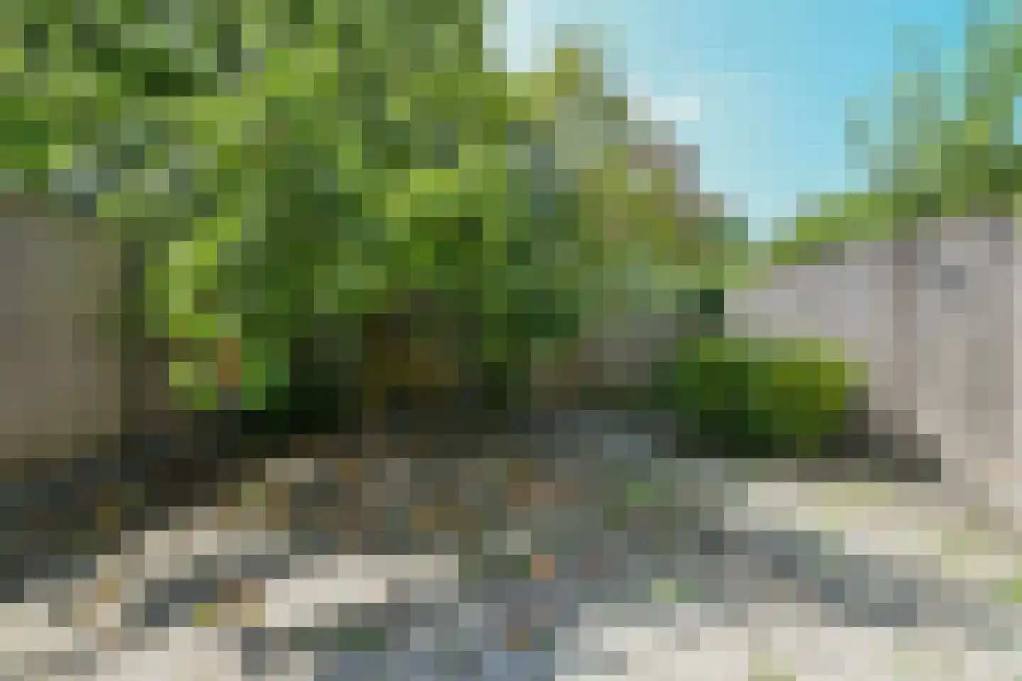 Graan voor Visch 18816 Hoofddorp thumbnail 22