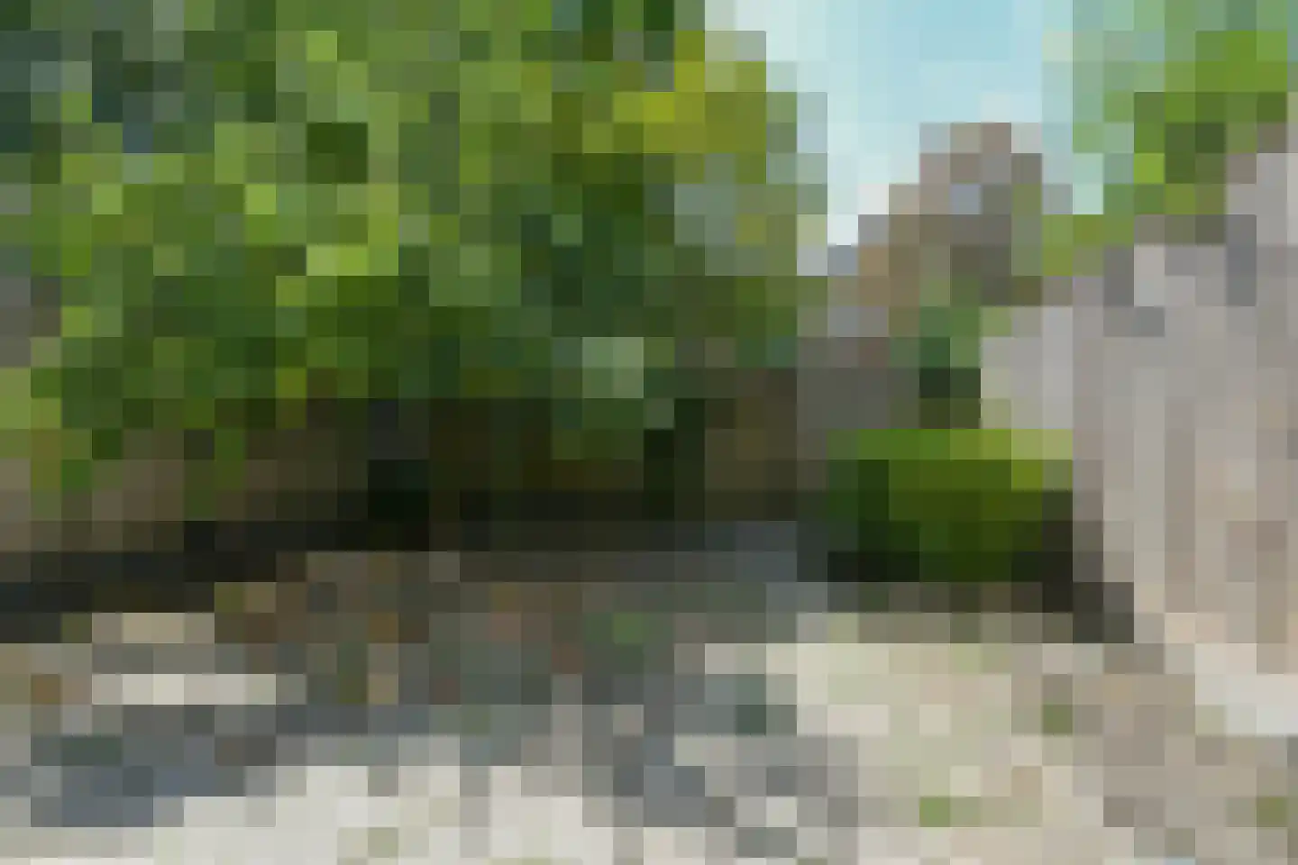 Graan voor Visch 18816 Hoofddorp thumbnail 24