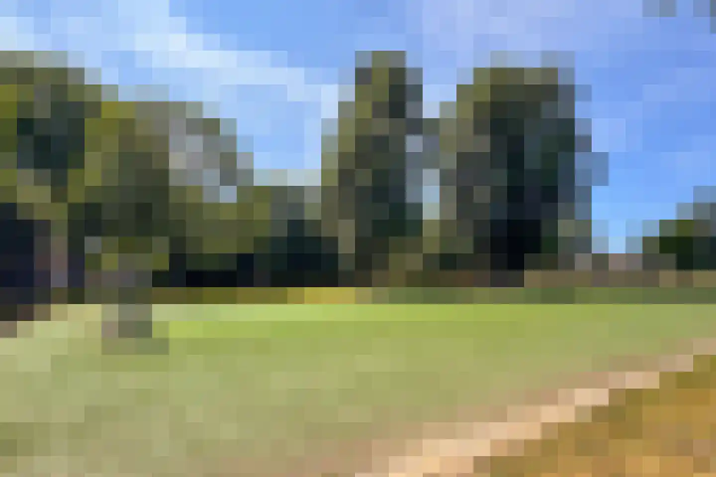 Graan voor Visch 18816 Hoofddorp thumbnail 27