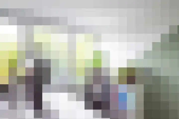 Graan voor Visch 18821 Hoofddorp thumbnail 30