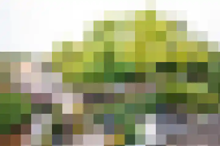 Graan voor Visch 18821 Hoofddorp thumbnail 33