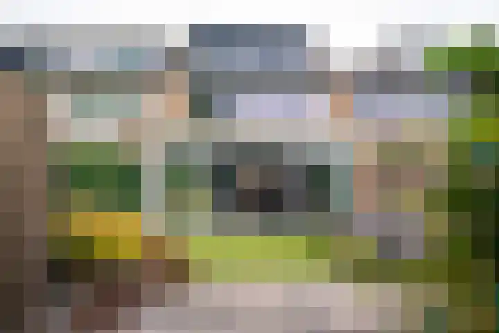 Graan voor Visch 18821 Hoofddorp thumbnail 37