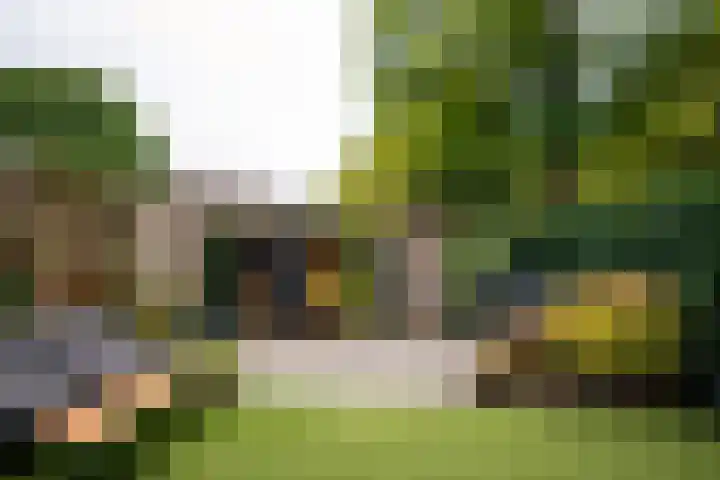 Graan voor Visch 18821 Hoofddorp thumbnail 38