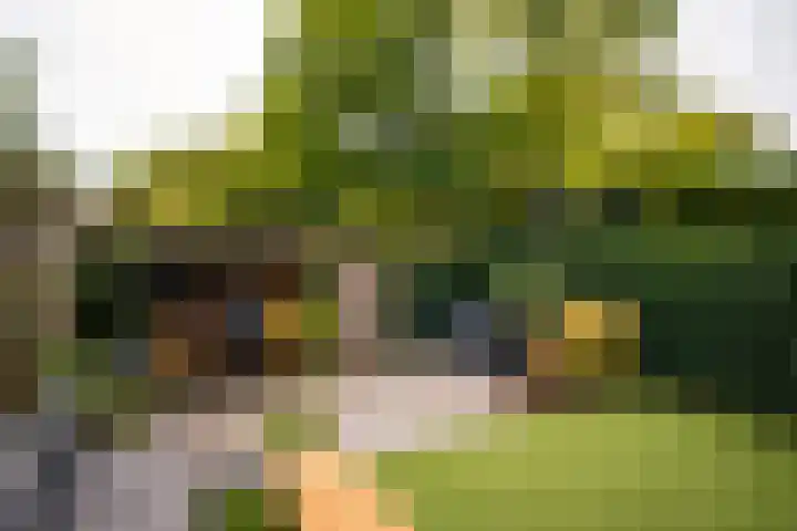 Graan voor Visch 18821 Hoofddorp thumbnail 39