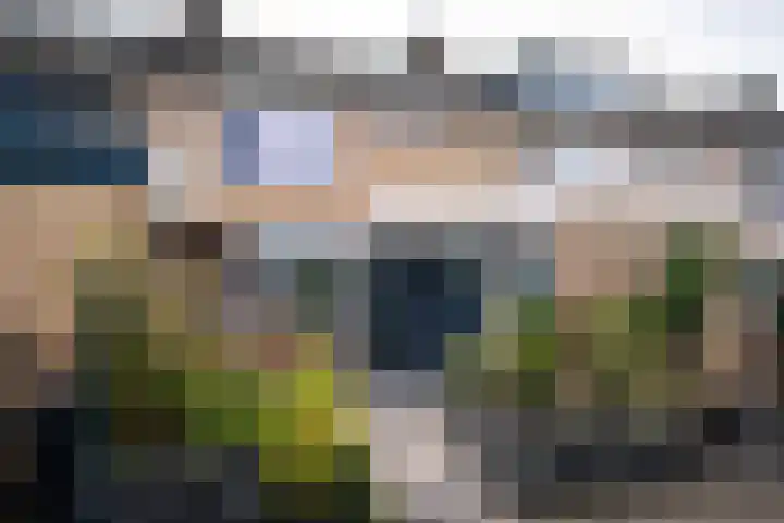 Graan voor Visch 18821 Hoofddorp thumbnail 40