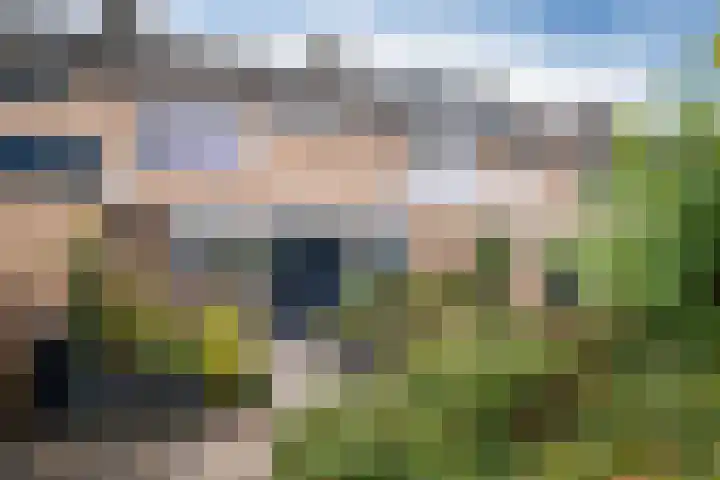 Graan voor Visch 18821 Hoofddorp thumbnail 41