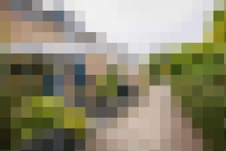 Graan voor Visch 18821 Hoofddorp thumbnail 43
