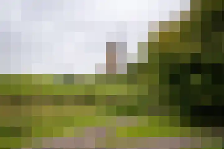 Graan voor Visch 18821 Hoofddorp thumbnail 44