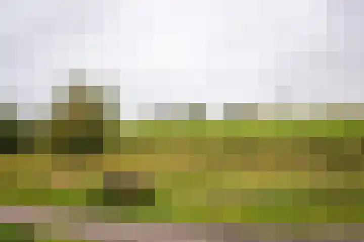 Graan voor Visch 18821 Hoofddorp thumbnail 45