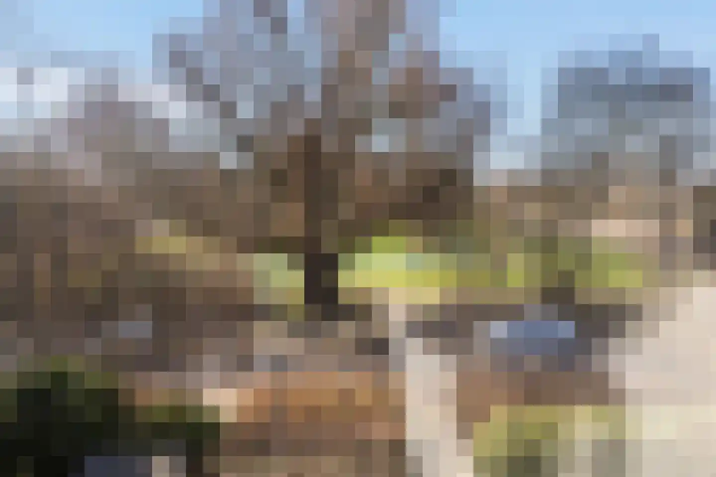 Graan voor Visch 18826 Hoofddorp thumbnail 22