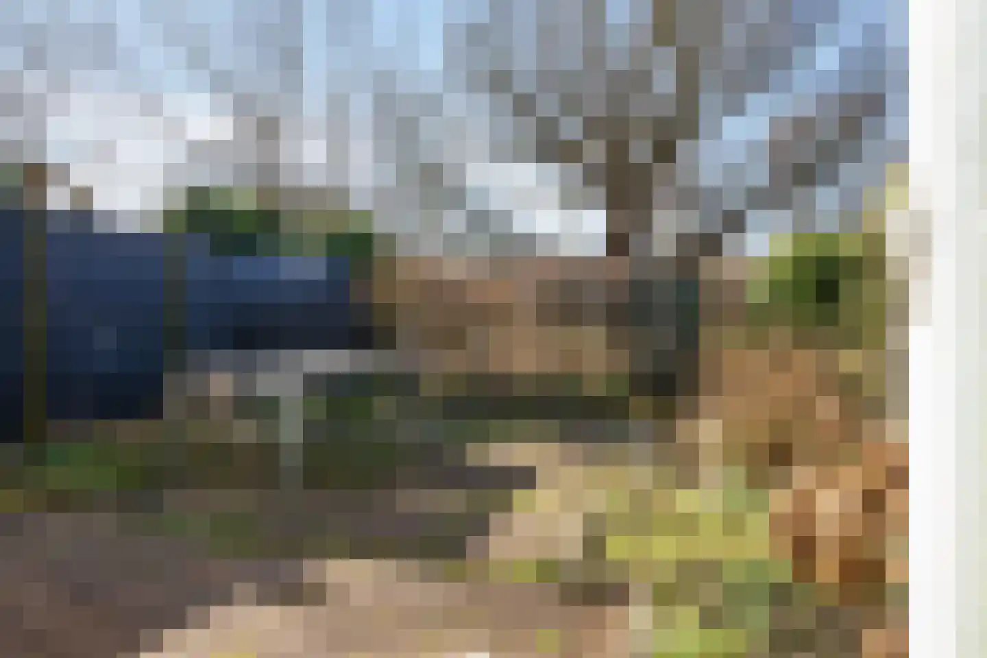 Graan voor Visch 18826 Hoofddorp thumbnail 23