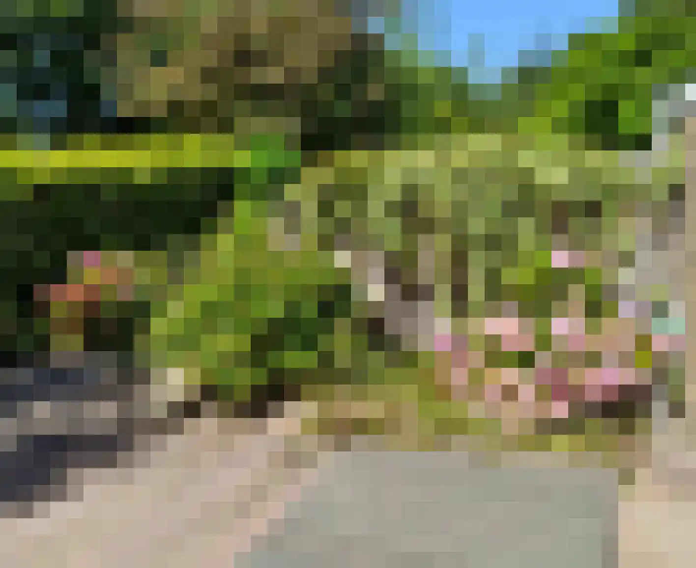 Graan voor Visch 18826 Hoofddorp thumbnail 23