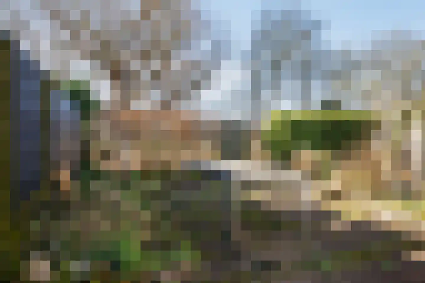 Graan voor Visch 18826 Hoofddorp thumbnail 24