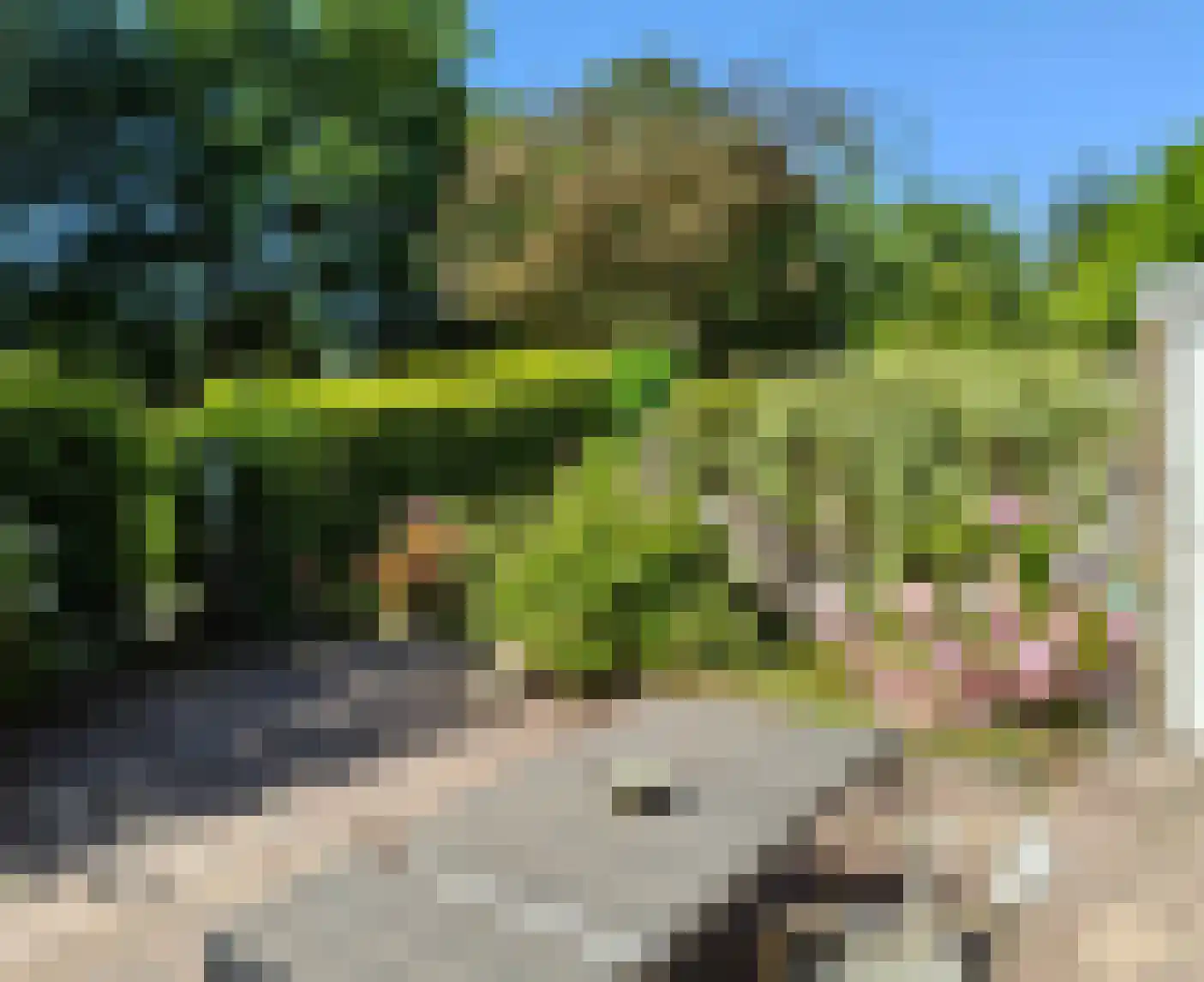 Graan voor Visch 18826 Hoofddorp thumbnail 5