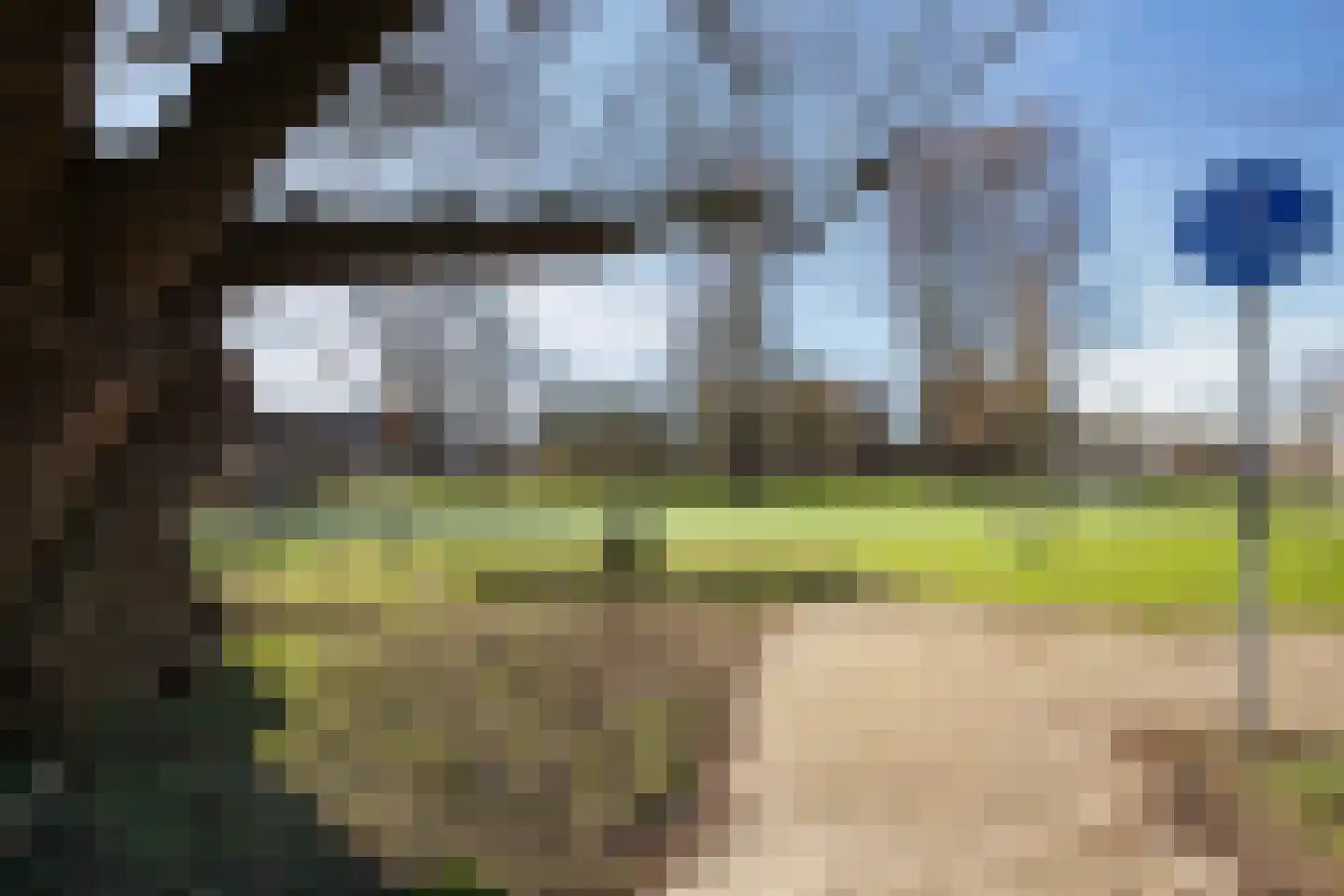 Graan voor Visch 18826 Hoofddorp thumbnail 5