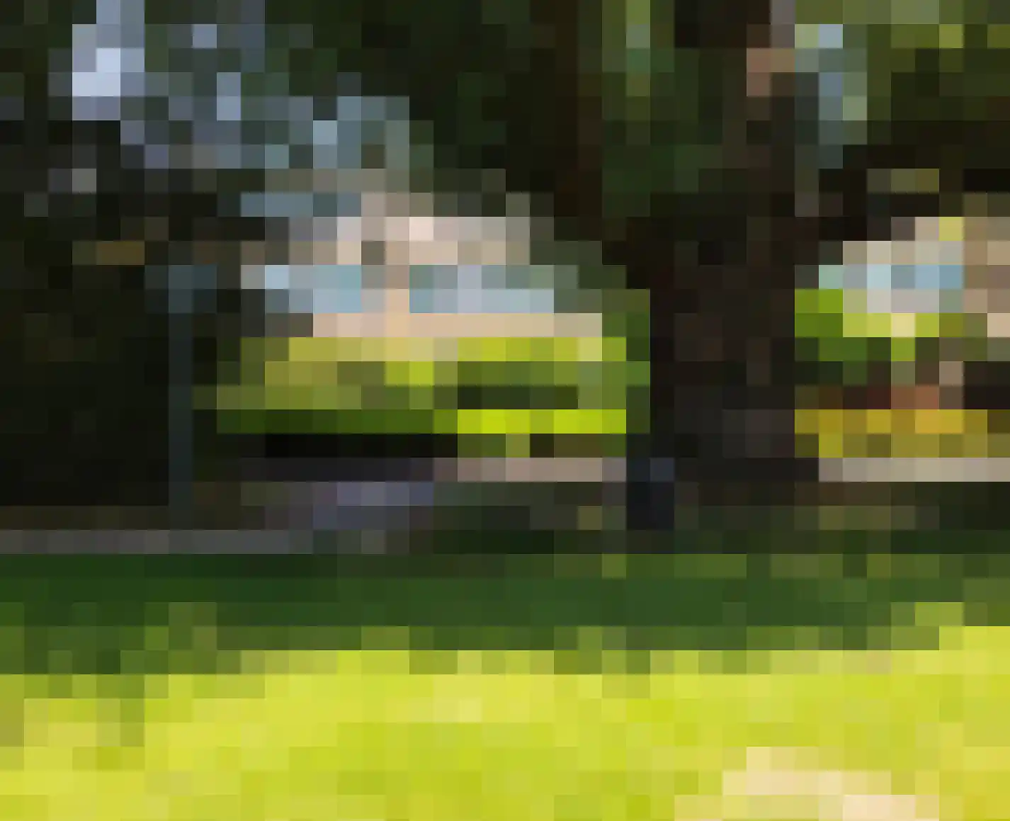 Graan voor Visch 18826 Hoofddorp thumbnail 6