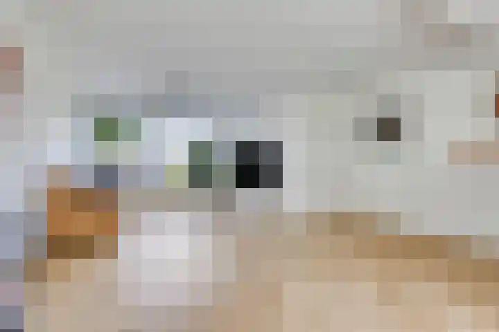 Graan voor Visch 19701 Hoofddorp thumbnail 11