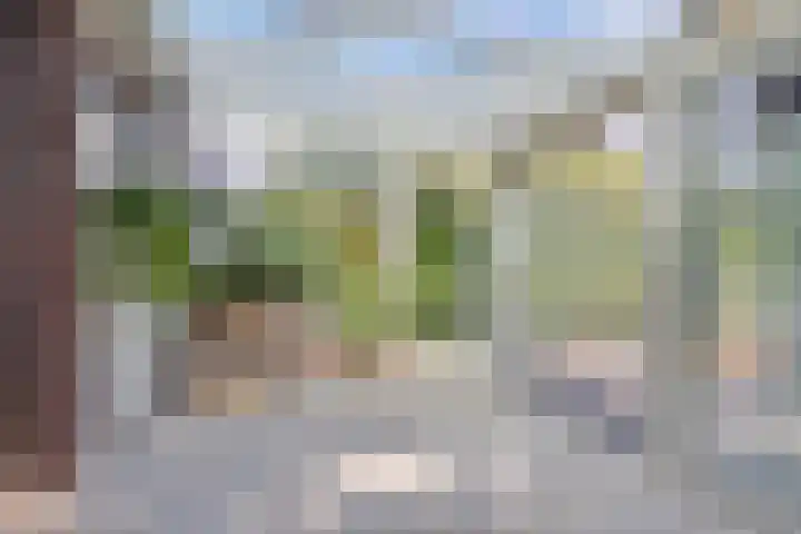 Graan voor Visch 19701 Hoofddorp thumbnail 37