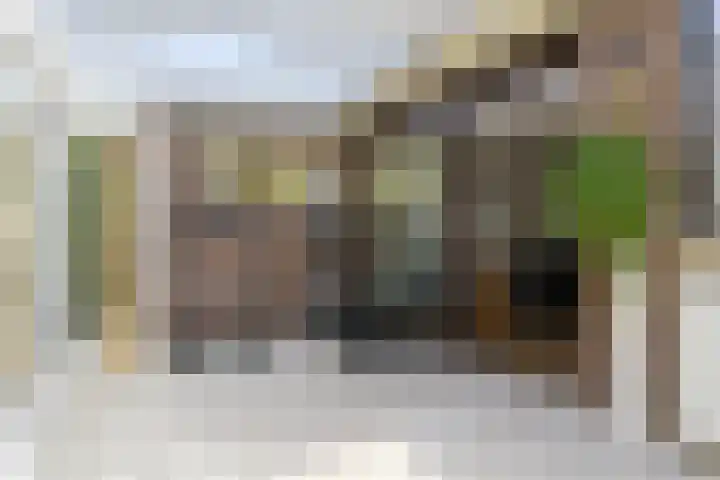 Graan voor Visch 19701 Hoofddorp thumbnail 38