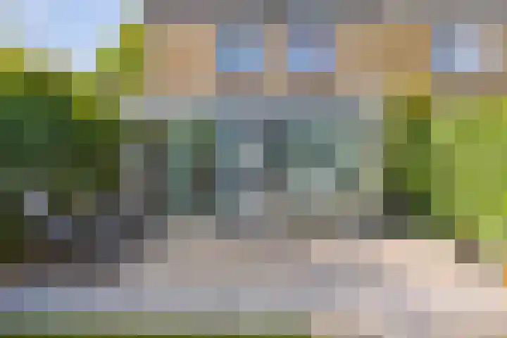 Graan voor Visch 19701 Hoofddorp thumbnail 39