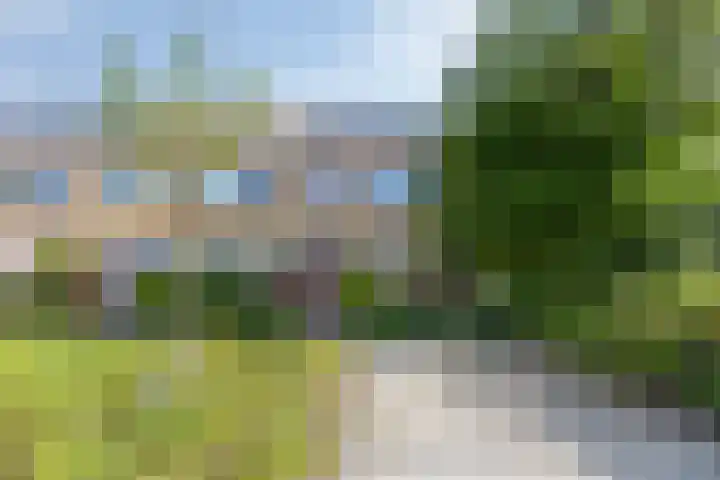 Graan voor Visch 19701 Hoofddorp thumbnail 4