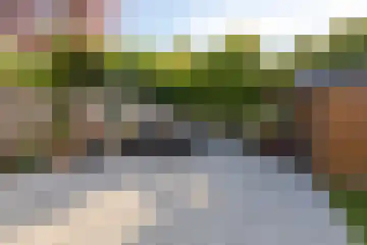Graan voor Visch 19701 Hoofddorp thumbnail 41