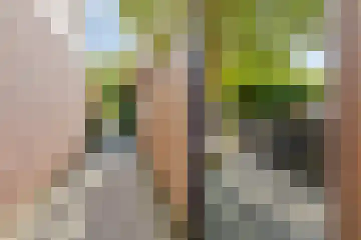 Graan voor Visch 19701 Hoofddorp thumbnail 43