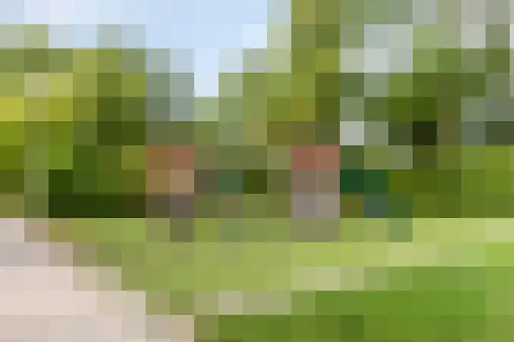 Graan voor Visch 19701 Hoofddorp thumbnail 44