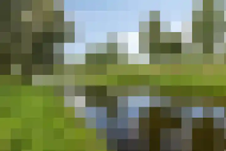 Graan voor Visch 19701 Hoofddorp thumbnail 45