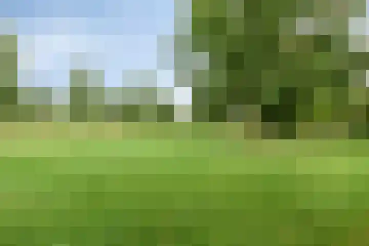 Graan voor Visch 19701 Hoofddorp thumbnail 46