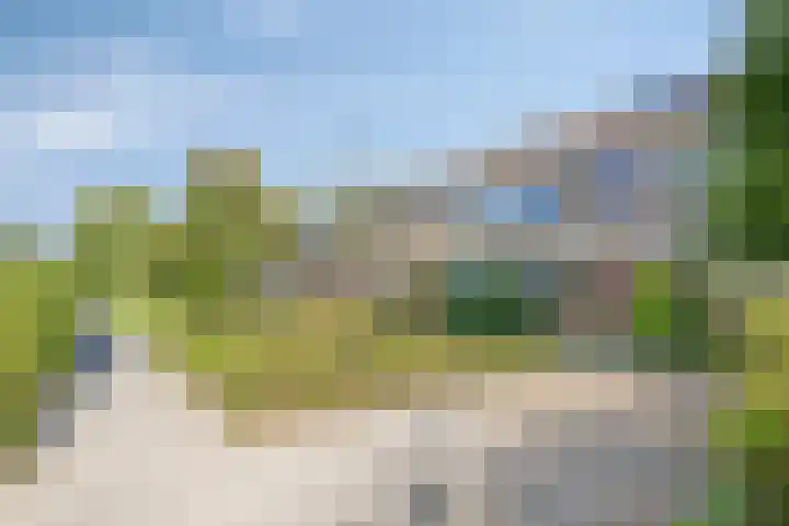 Graan voor Visch 19701 Hoofddorp thumbnail 5