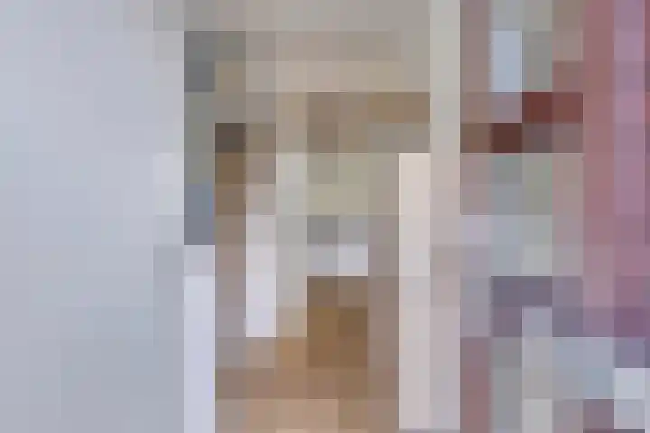 Graan voor Visch 19701 Hoofddorp thumbnail 7