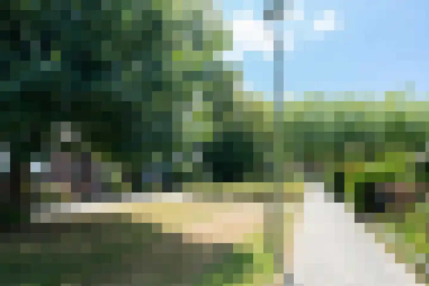 Graan voor Visch 19703 Hoofddorp thumbnail 52