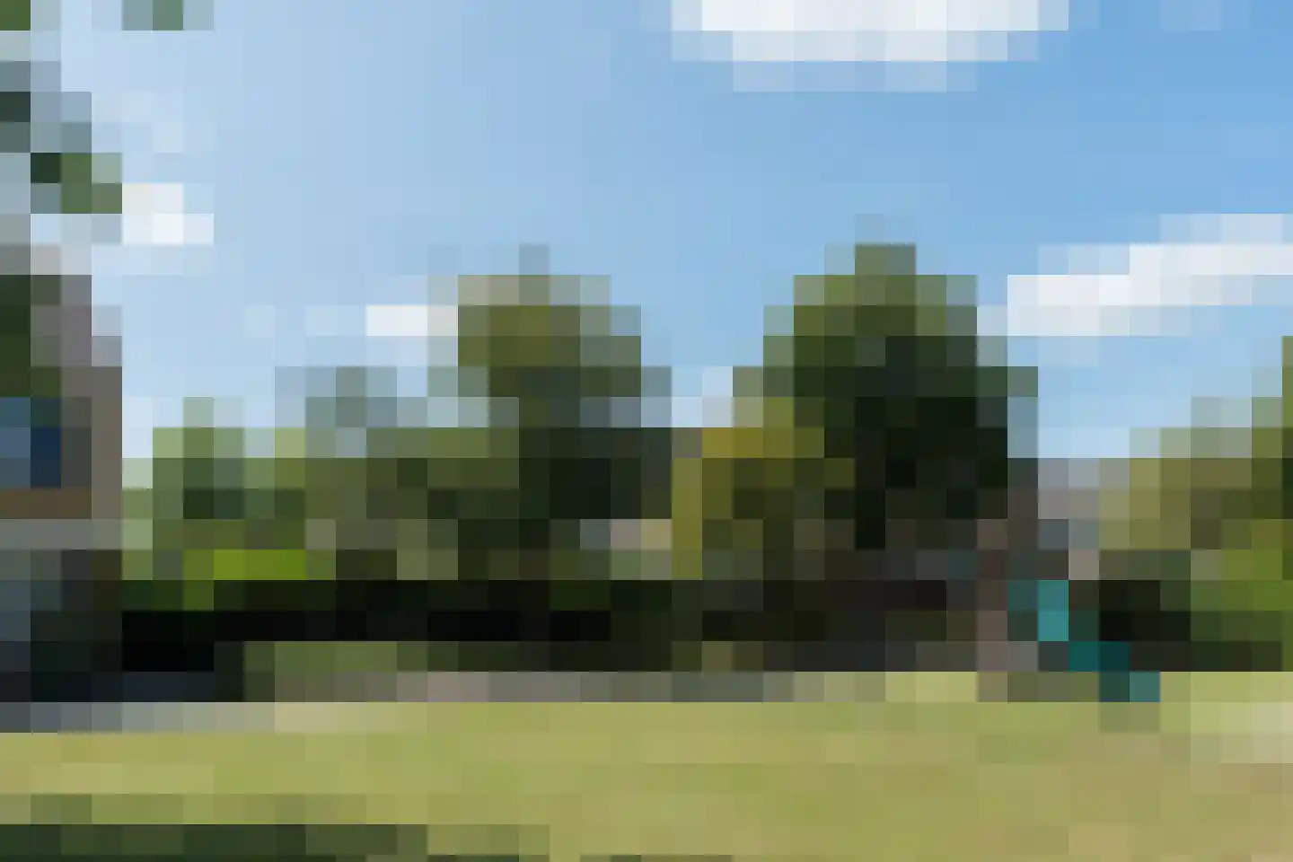 Graan voor Visch 19703 Hoofddorp thumbnail 54