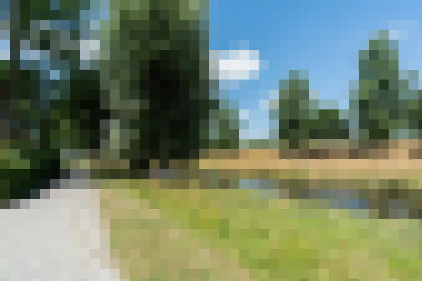 Graan voor Visch 19703 Hoofddorp thumbnail 55