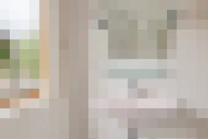 Graan voor Visch 19811 Hoofddorp thumbnail 14