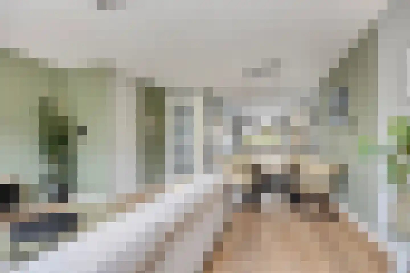 Graan voor Visch 43 Waddinxveen thumbnail 10