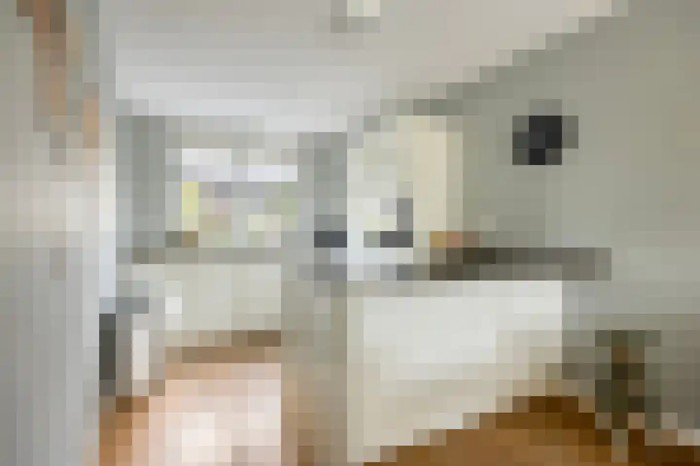 Graan voor Visch 43 Waddinxveen thumbnail 13
