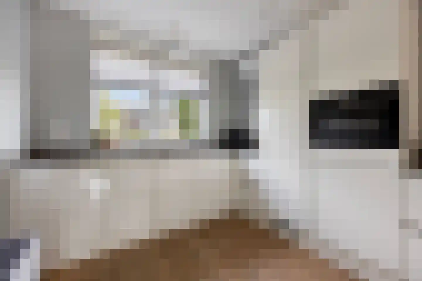 Graan voor Visch 43 Waddinxveen thumbnail 16