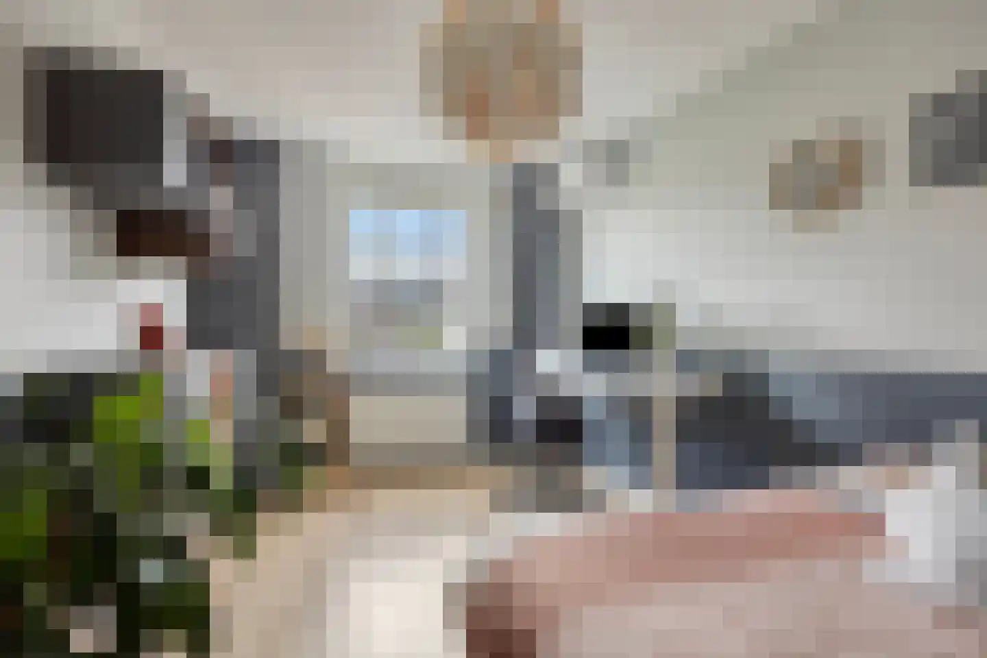 Graan voor Visch 43 Waddinxveen thumbnail 20