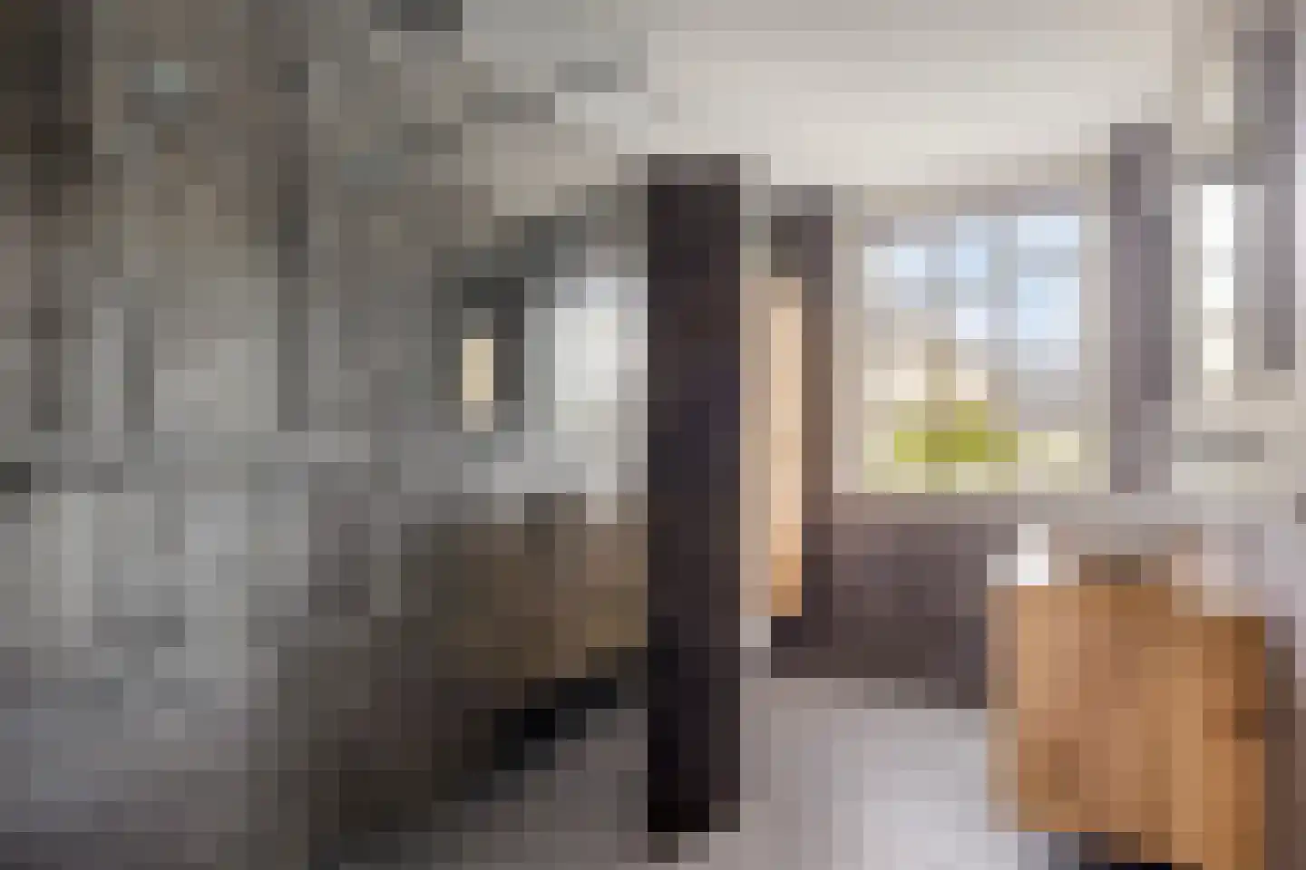 Graan voor Visch 43 Waddinxveen thumbnail 21